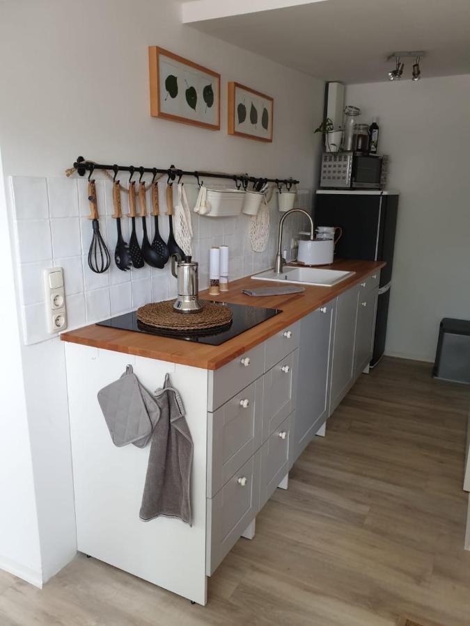 Ferienwohnung Lindenhof, Zentrumsnah Mit Terrasse Und Grillmoeglichkeit Magdeburg Bagian luar foto