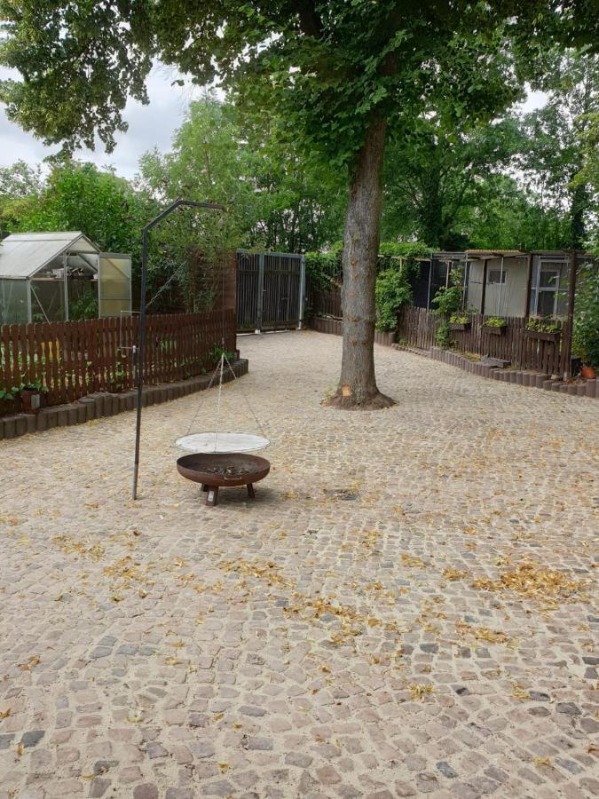Ferienwohnung Lindenhof, Zentrumsnah Mit Terrasse Und Grillmoeglichkeit Magdeburg Bagian luar foto